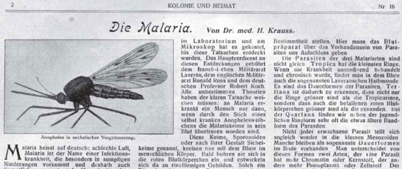 Artigo do médico H. Krauss no jornal Kolonie und Heimat (reprodução)