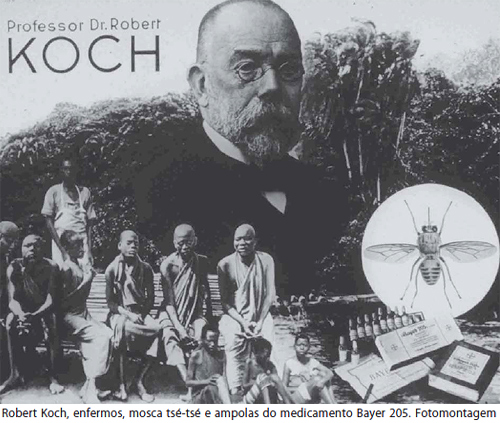 Koch_montagem