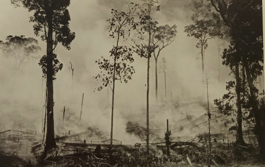 Foto de queimada na Amazônia feita pelo pesquisador Harald Sioli na década de 1970 (Fonte: Betty Meggers and Clifford Evans Papers)