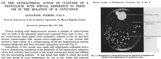 Artigo de Alexander Fleming publicado no British Journal of Experimental Pathology em 1929, com fotos de culturas de bactérias. Fonte: The National Center for Biotechnology Information/NIH, EUA