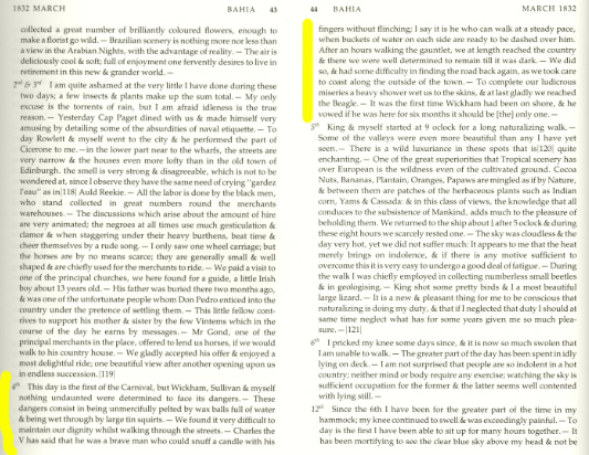 Transcrição do Diário do Beagle, por Charles Darwin. Clique para acessar a fonte: The Complete Work of Charles Darwin Online (http://darwin-online.org.uk/)