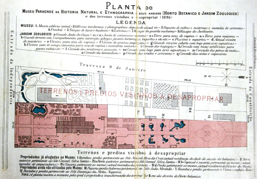 Planta baixa do Museu Paraense de História Natural e Etnografia em 1896, onde é possível observar o imóvel desapropriado para a instalação do museu (em rosa) e as intervenções feitas e planejadas para esse espaço e também para os terrenos vizinhos em direção à travessa Nove de Janeiro (Goeldi, 1897b)